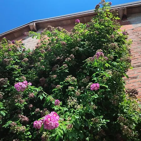 Casa Rifugio Parma Bed and Breakfast 3*