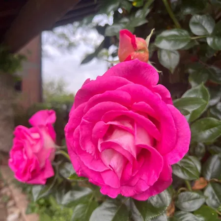 Bed and Breakfast Casa Rifugio Parma